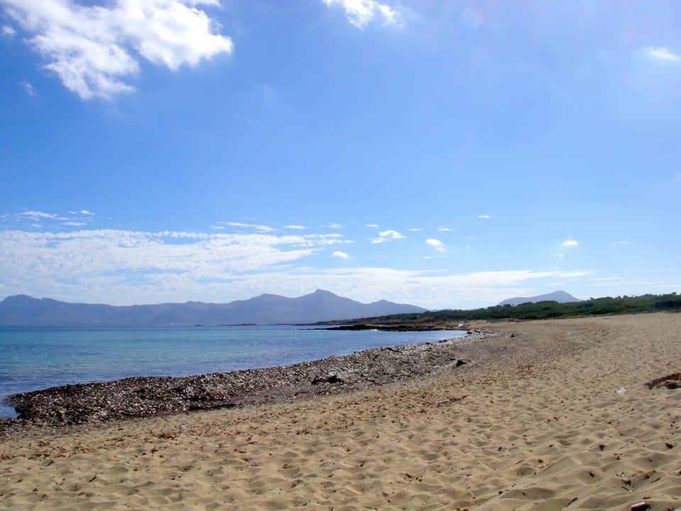 Der "einsame" Strand direkt hinter den Dünen BQ Sarah