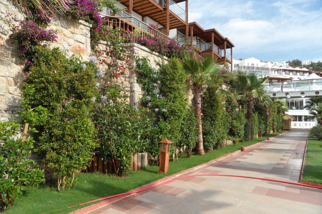 Zielona ściana Delta Hotels By Marriott Bodrum