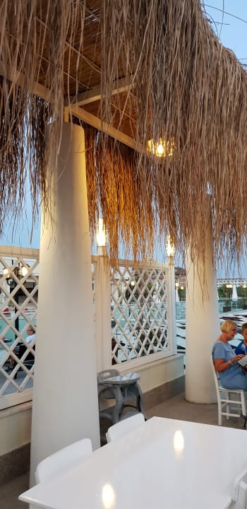 Gastro Paloma Oceana
