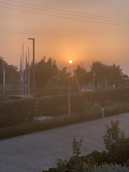 Außenansicht Blue Lagoon Ocean
