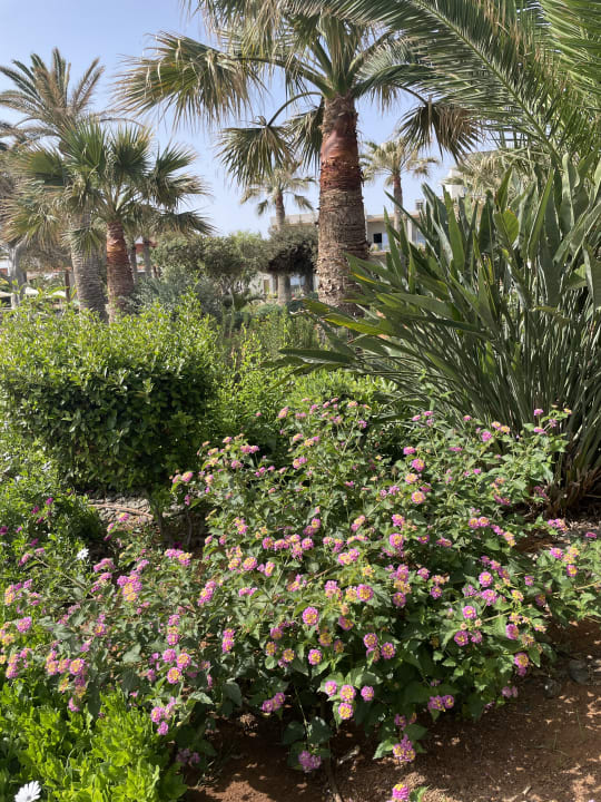 Gartenanlage Anissa Beach & Village