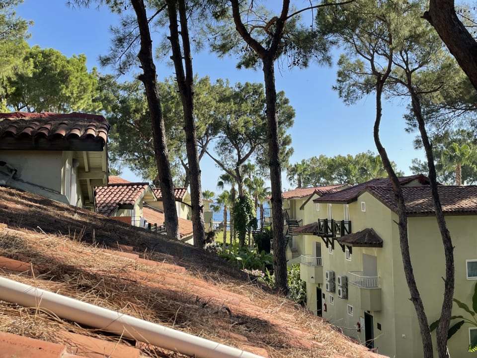 Ausblick Crystal Flora Pearl Collection