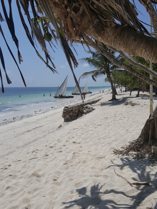 Strand Neptune Pwani Beach Resort & Spa