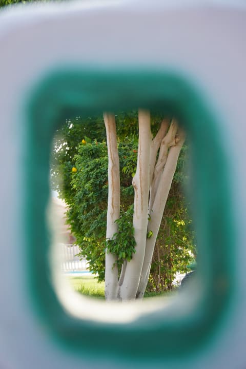 Ausblick Serenity Alpha Beach