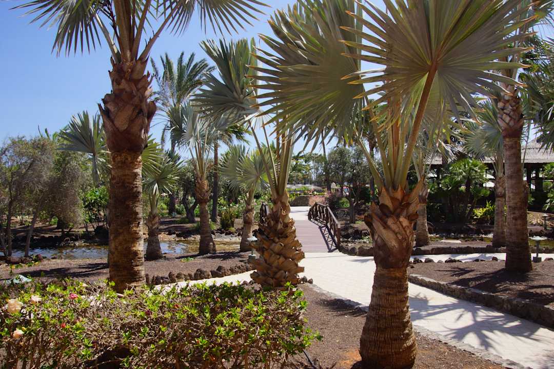 Gartenanlage Sheraton Fuerteventura Golf & Spa Resort