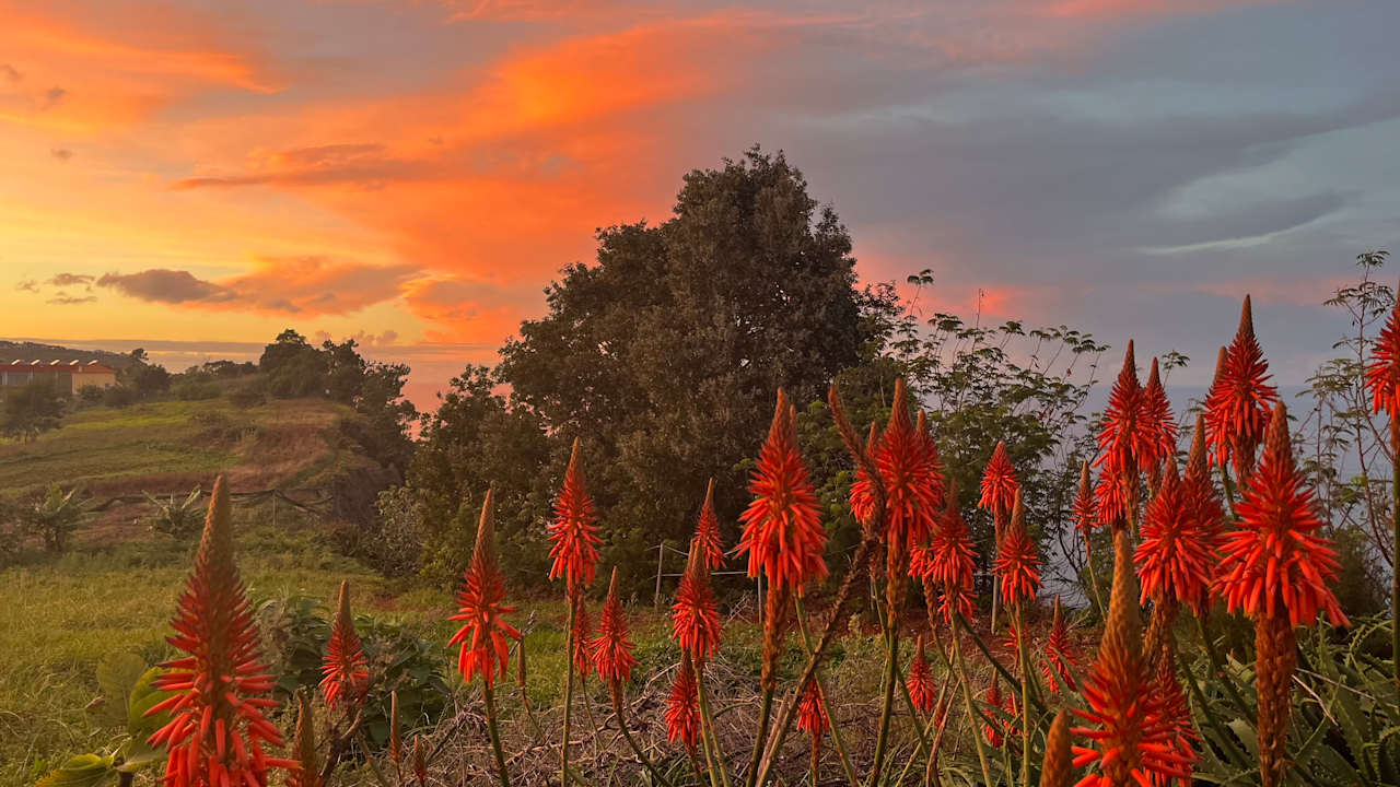 Außenansicht Hotel Quinta do Furao