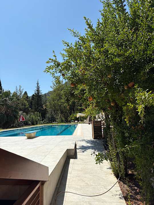 Pool Trinitys Ulupinar