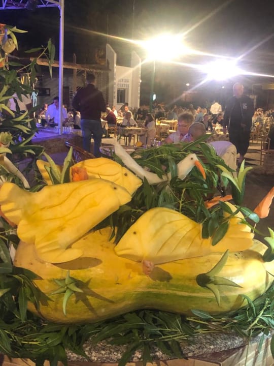 Gastro Menaville Safaga