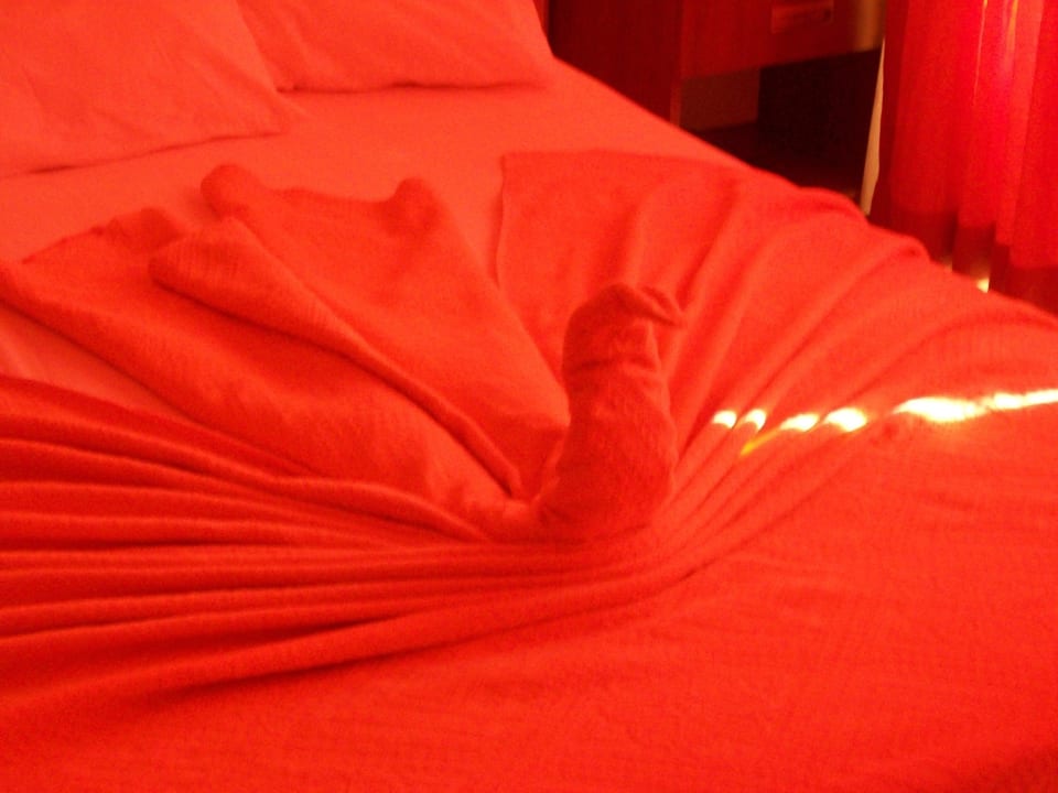 Wieder ein Schwan Sayanora Hotel