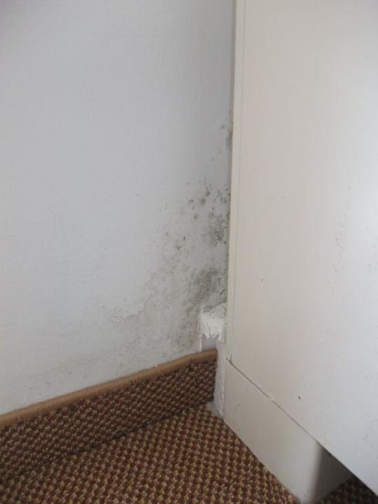 Schimmel an der Wand DAS Club Hotel Sunny Beach