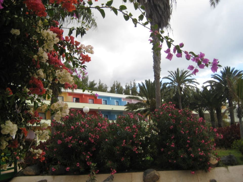 Zimmer mit Balkon SBH Fuerteventura Playa