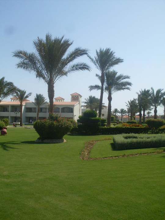 Garten mit Palmen Pickalbatros Dana Beach Resort - Hurghada