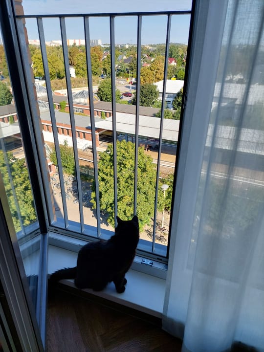 Ausblick LOGINN Hotel Berlin Airport