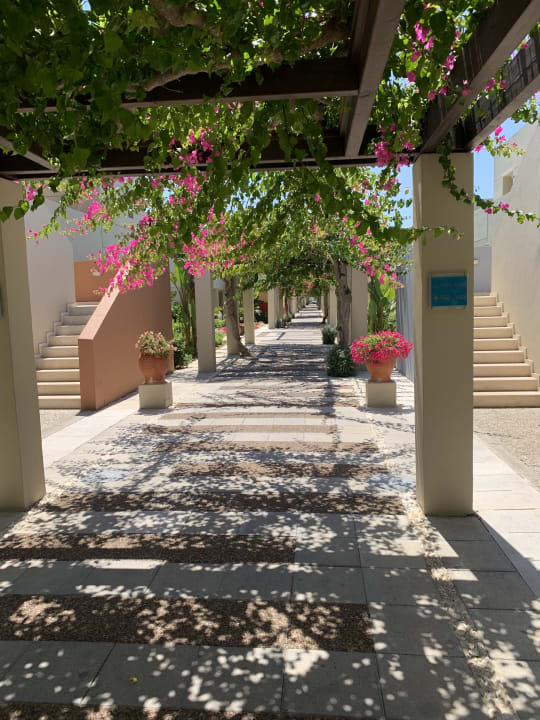Garten Astir Odysseus Kos Resort & Spa
