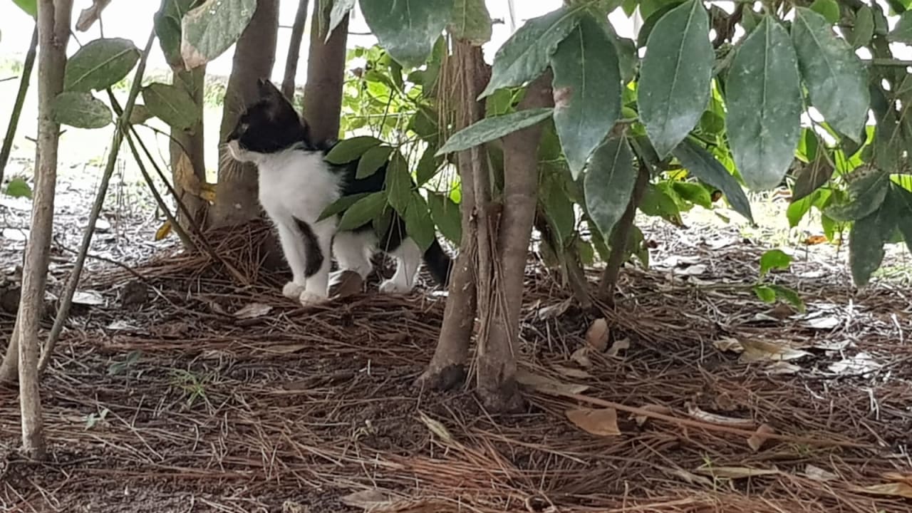 Sonstiges Caravia Beach Hotel