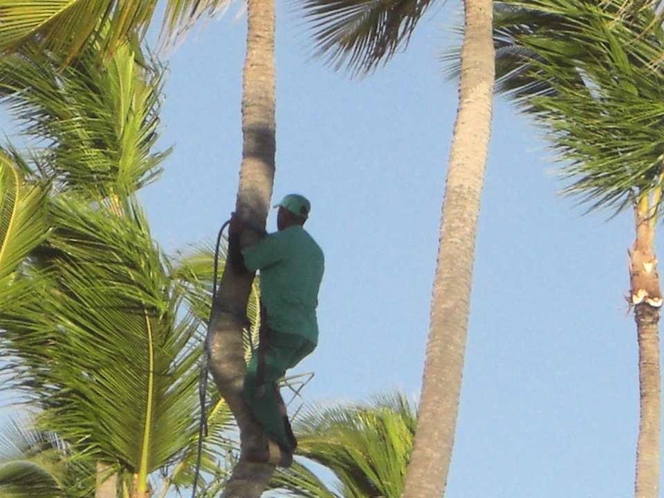 Anlage  Hotel Grand Palladium Palace Resort, Spa & Casino