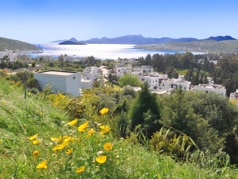 Great location Bitez Residence