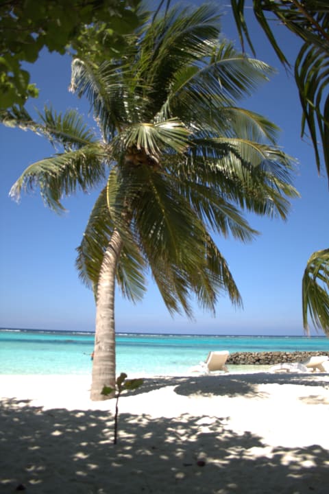 SW seite Summer Island Maldives
