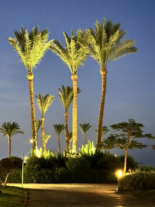 Gartenanlage Cleopatra Luxury Resort Makadi Bay