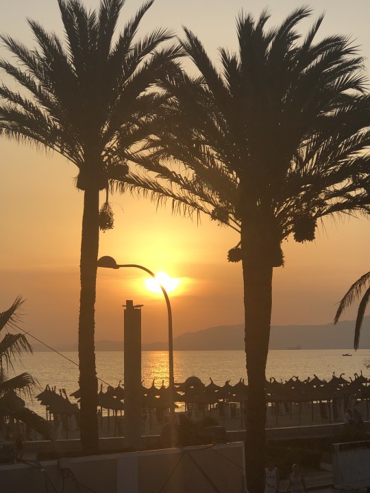 Pool Hotel Riu San Francisco - Adults only