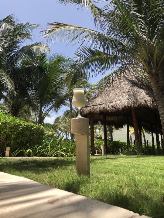 Gartenanlage Akumal Bay Beach & Wellness Resort