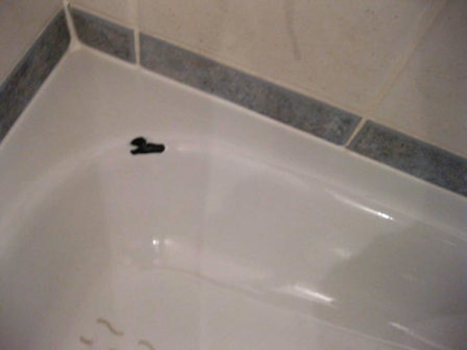 Abgeplatzte Stelle in der Duschwanne Alphotel Tyrol