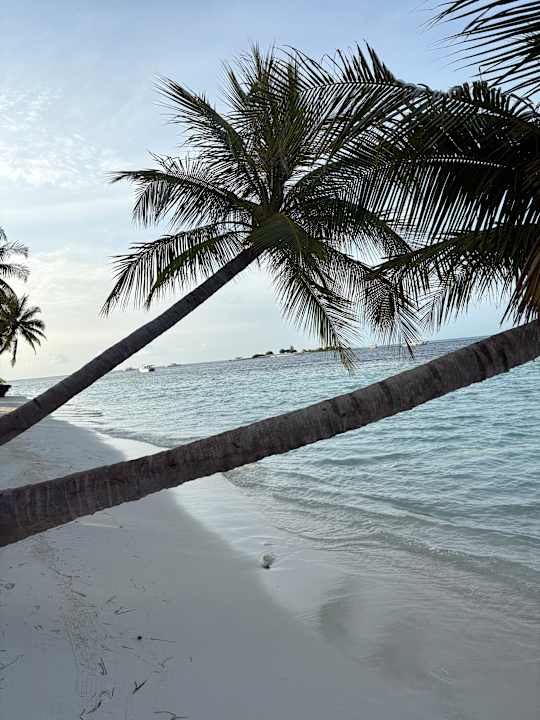 Strand Vilamendhoo Island Resort & Spa