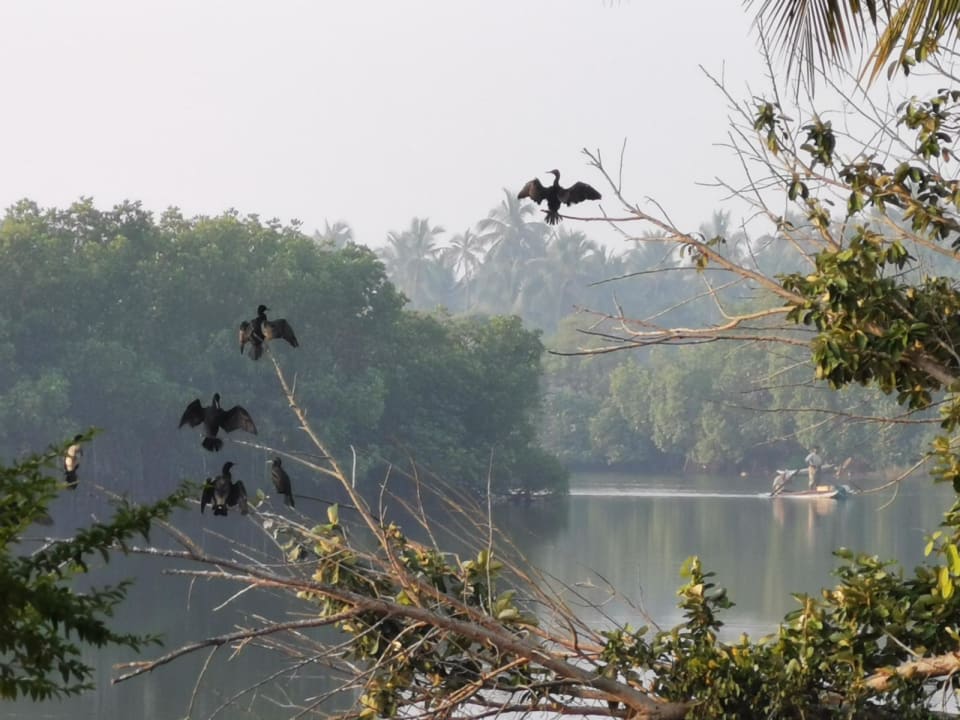 Gartenanlage Club Palm Bay