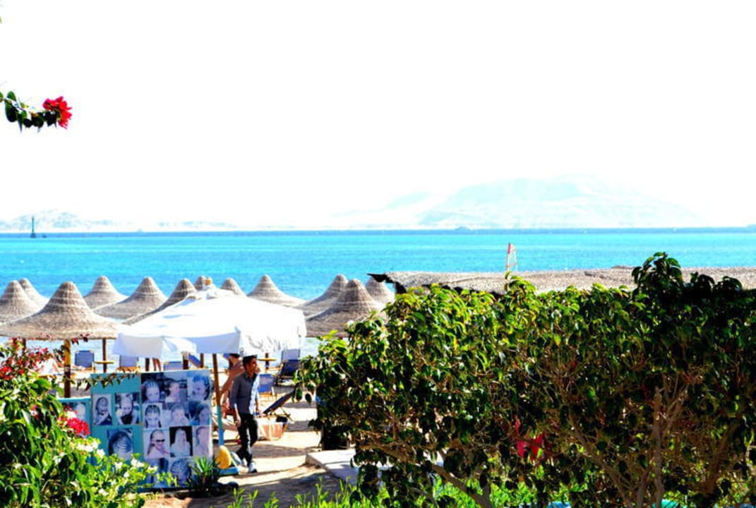 Widok na plażę JAZ Belvedere Resort