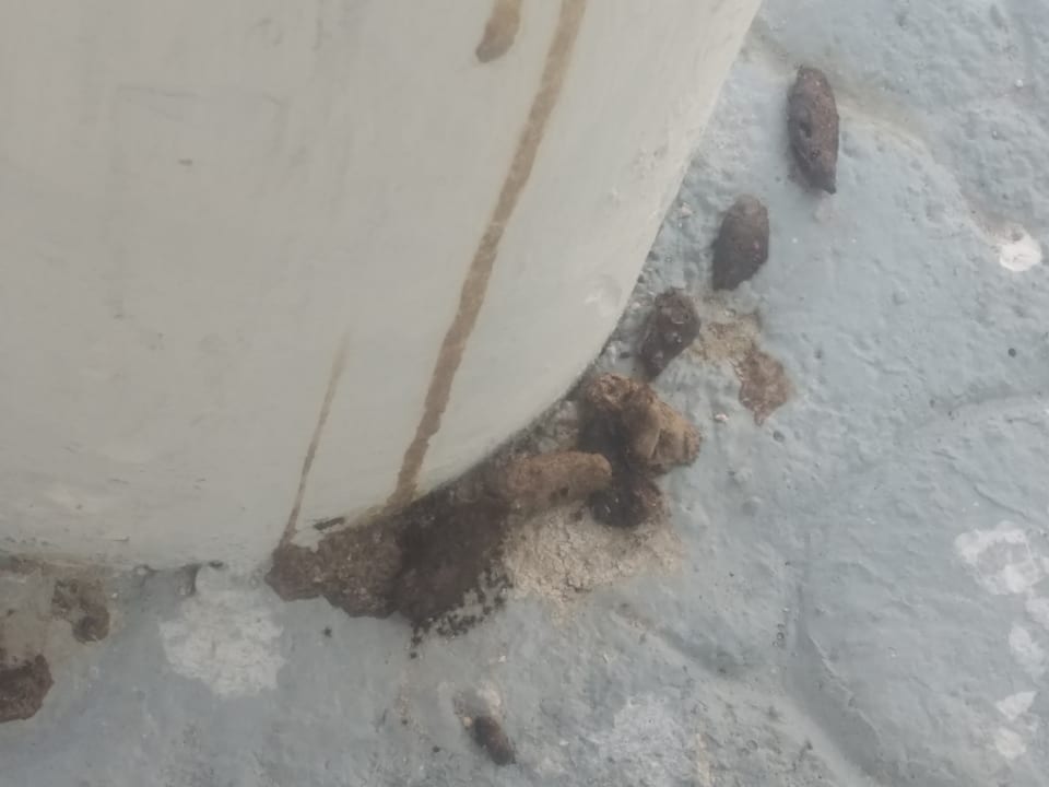 Pool Melia Las Dunas