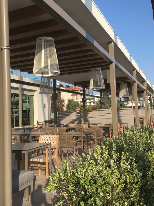 Restaurant Acanthus Cennet Barut Collection