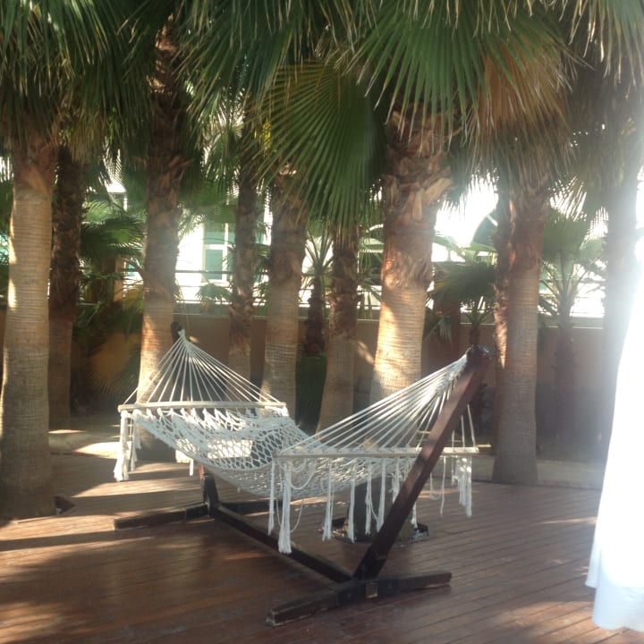 Gartenanlage Dizalya Palm Garden