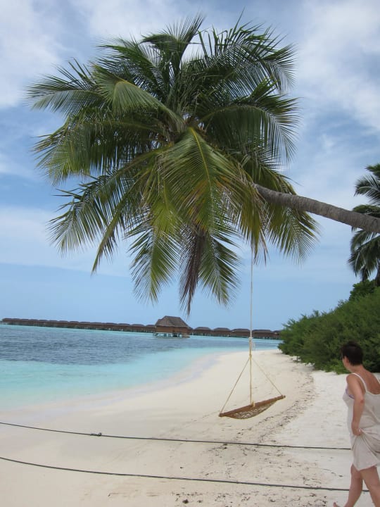 Traummotiv vor der Honeymoonvilla Meeru Maldives Resort Island