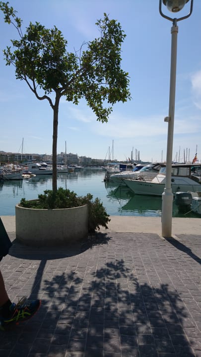 Strand Grupotel Amapola