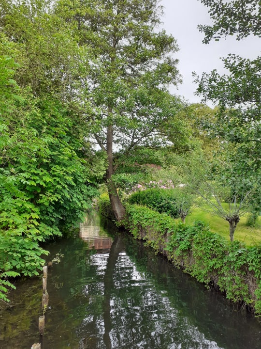 Außenansicht Hotel zum Löwen