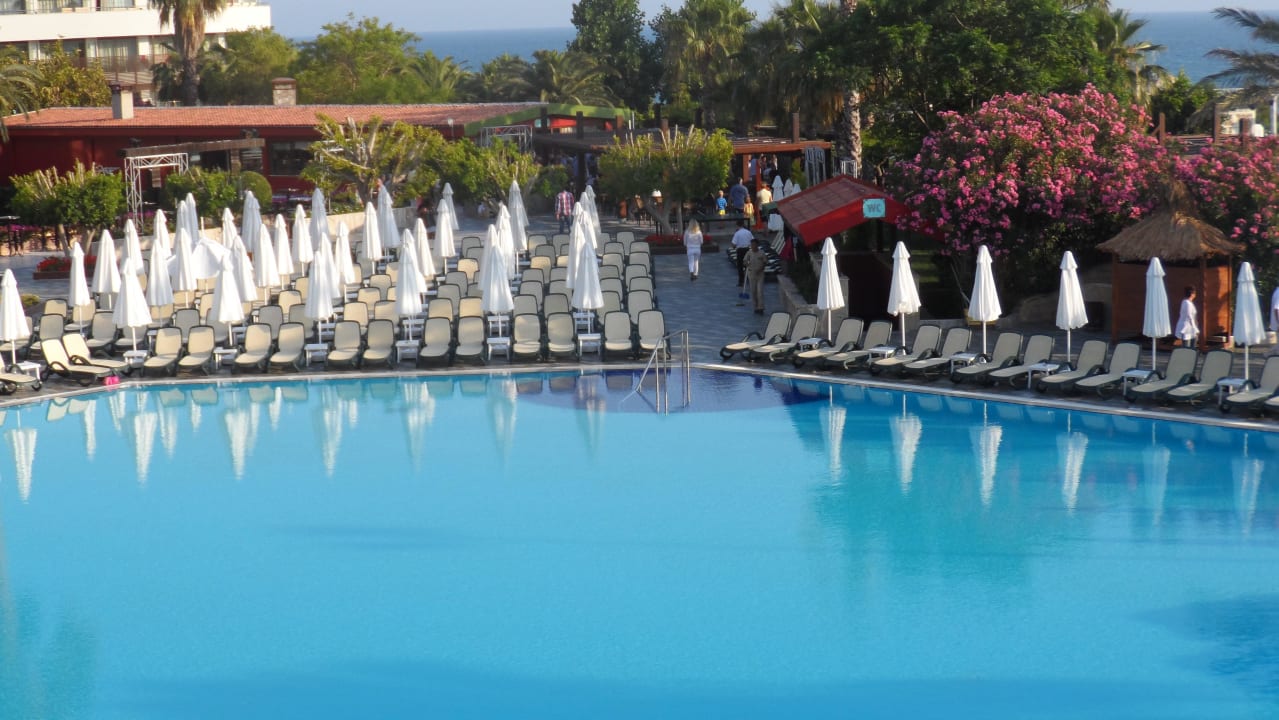 Pool  Alba Resort Hotel