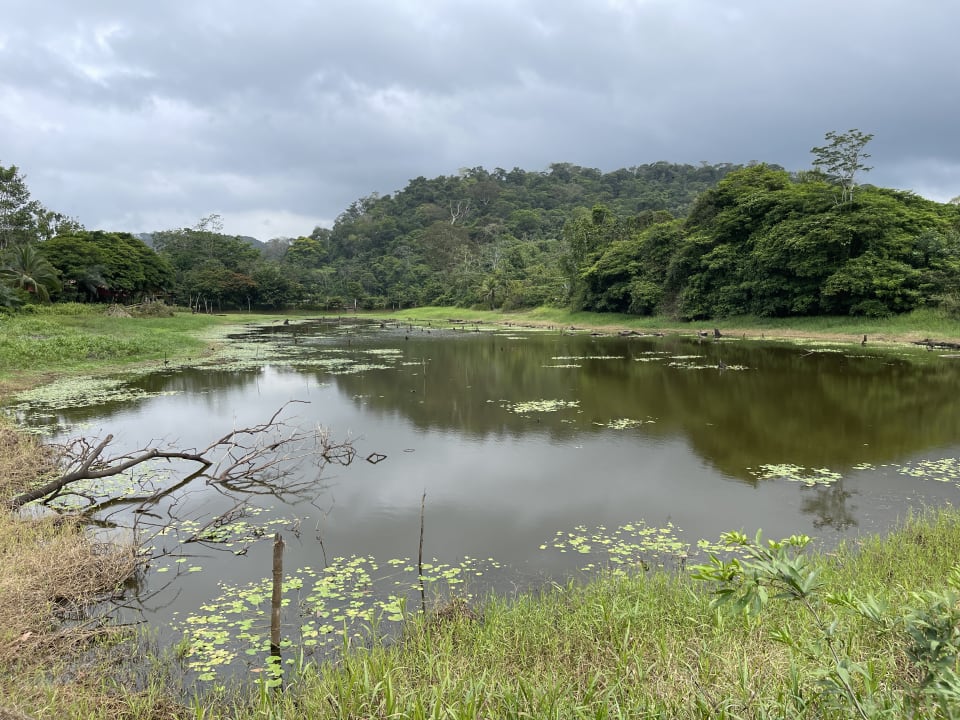 Gartenanlage Confort Arenal