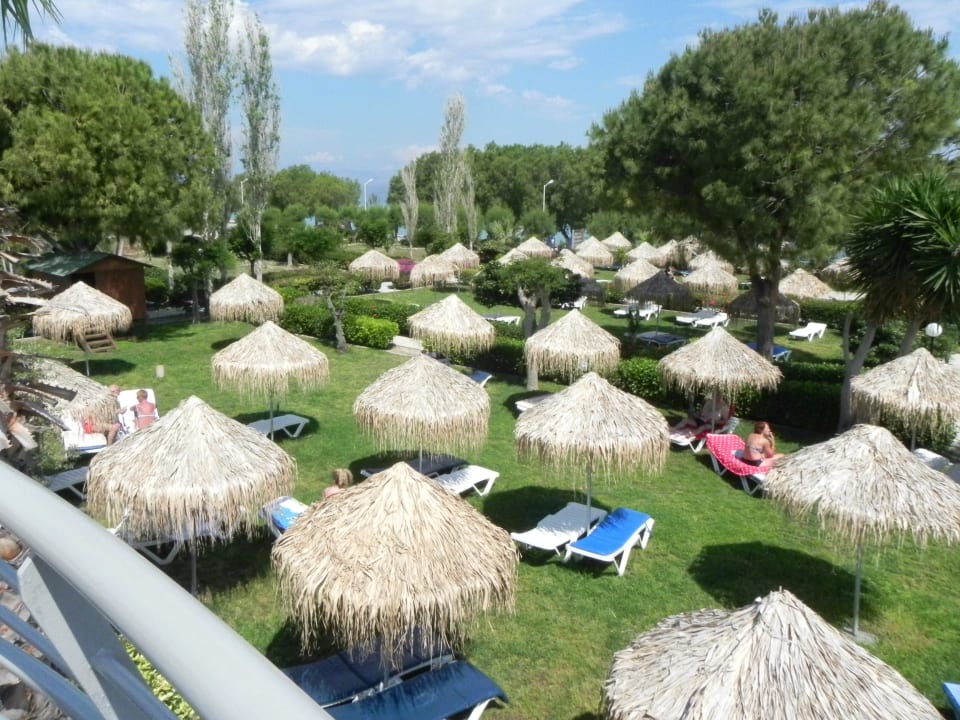 Ogród All Senses Ocean Blue Sea Side Resort & Spa