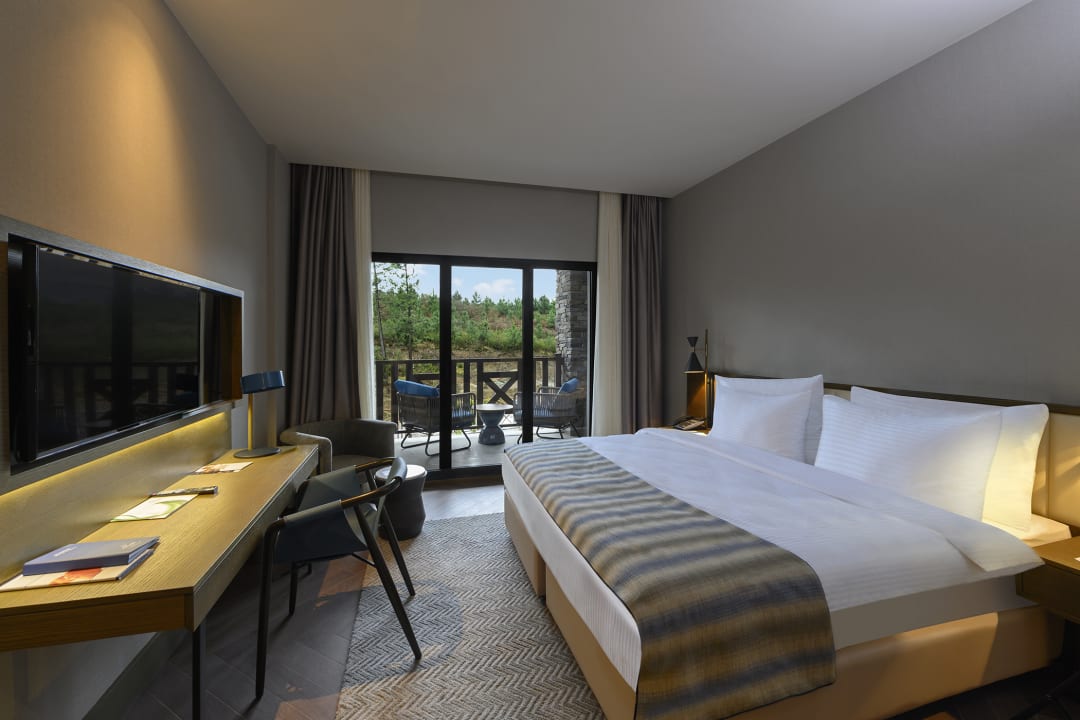 Zimmer Elite World Grand Sapanca Hotel