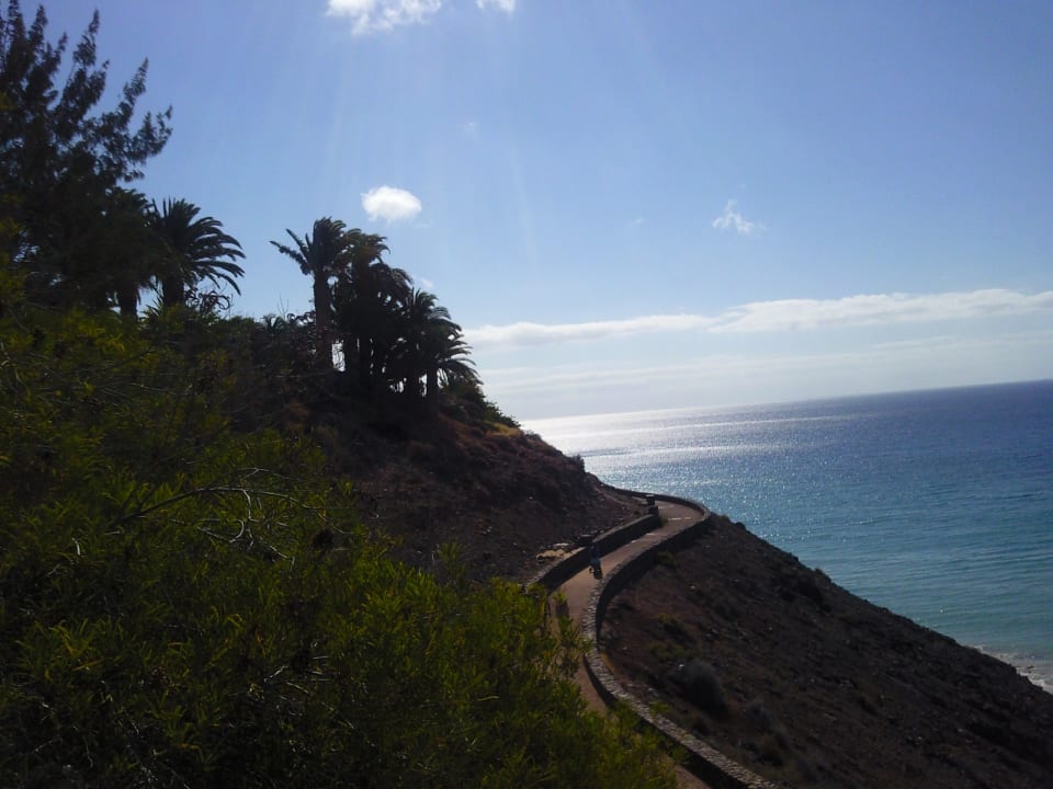 Ausblick allsun App.-Hotel Esquinzo Beach