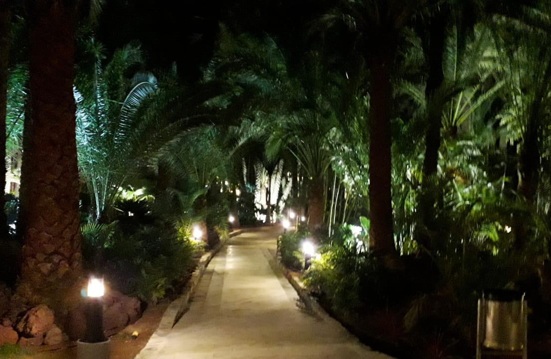 Gartenanlage Hotel Riu Palace Oasis