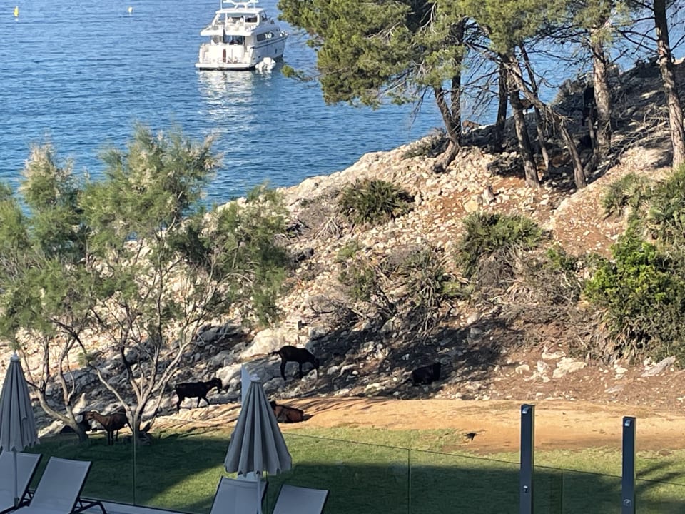 Außenansicht BAHÍA SUITES CAMP DE MAR