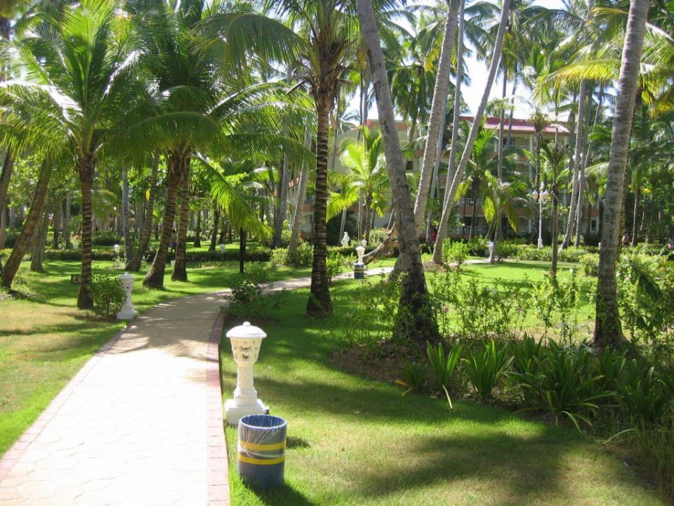 Gartenlandschaft im Hotel Vista Sol Punta Cana