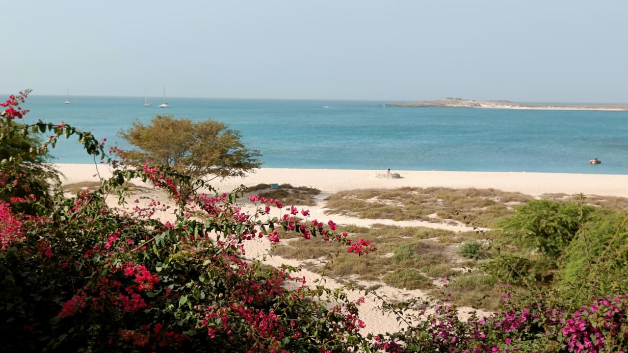 Ausblick Hotel Ca Nicola