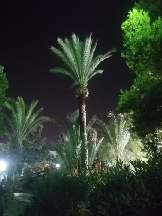 Gartenanlage Marhaba Royal Salem