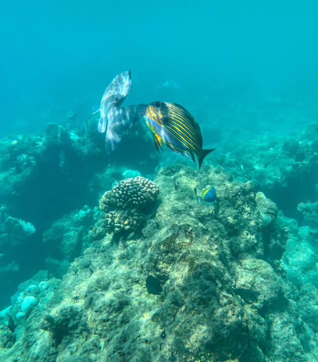 Sport & Freizeit Kuramathi Maldives