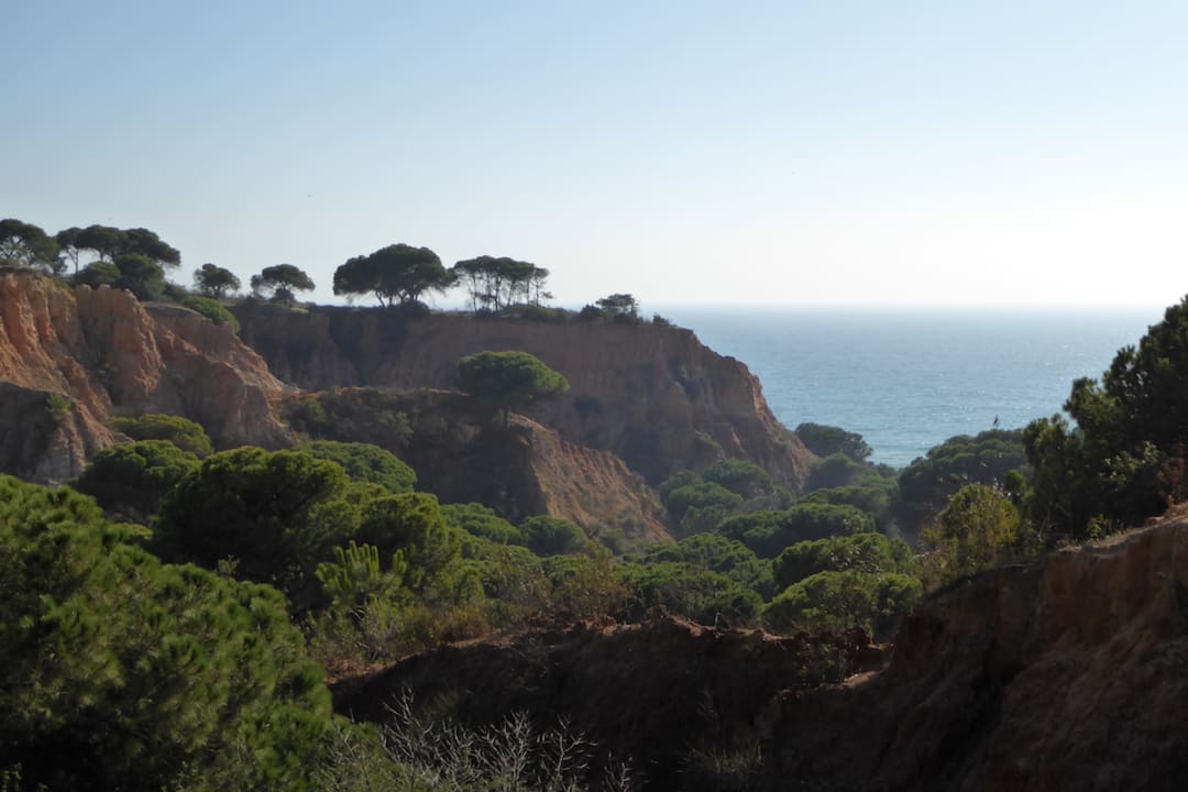 Ausblick PortoBay Falésia