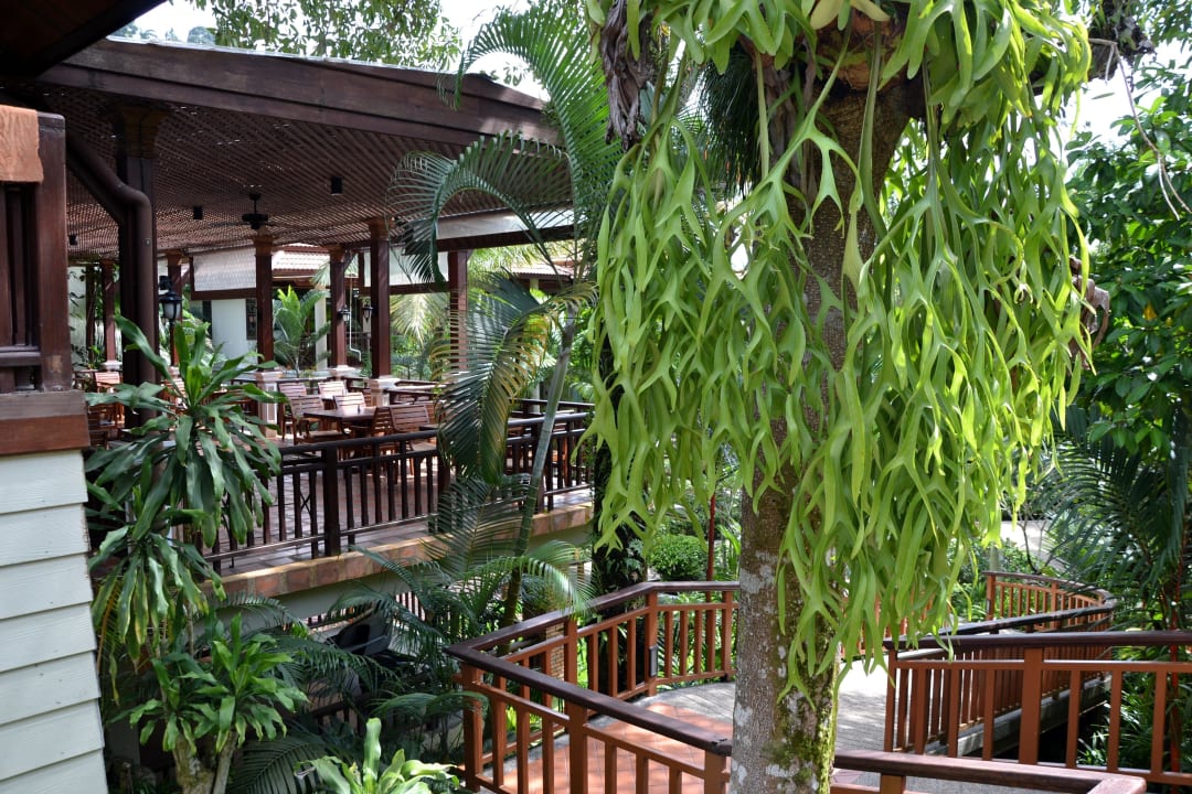 Unterer Teil des Restaurants Khao Lak Bayfront Resort
