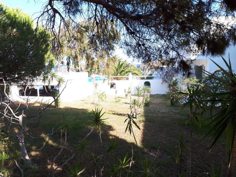 Gartenanlage Aphrodite Beach Resort Hotel