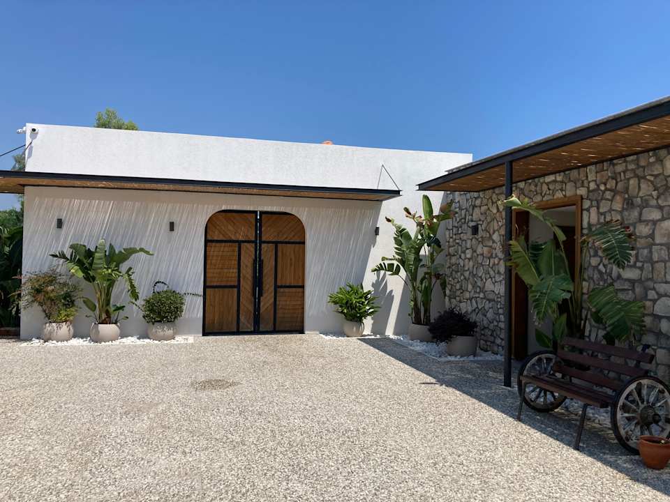 Strand Seashell Vega